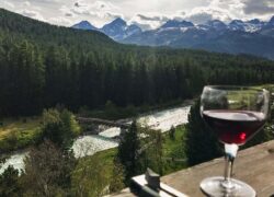 018 - wieder zu hause